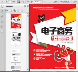 《电子商务企业运营管理培训与服务 216页精要指南》