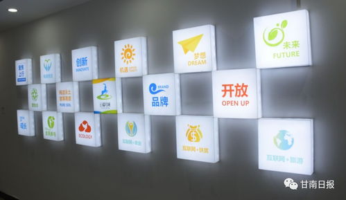 合作市电子商务公共服务中心正式启动，赋能电商运营管理服务新篇章